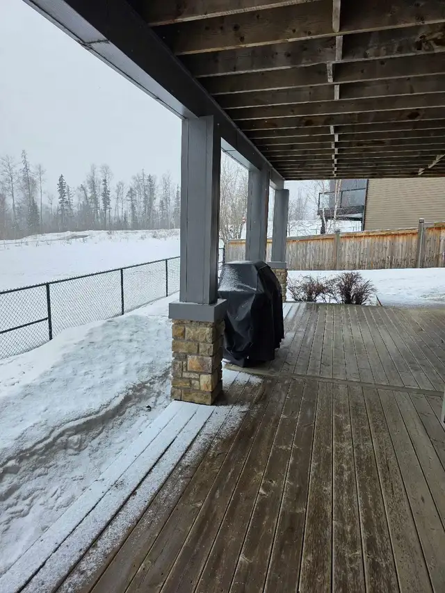 Quiet, Clean One bedroom Walk out Basement Suite - Photo 8