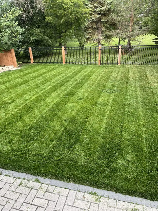 YEAR AROUDN PROPERTY SERVICE - Photo 4