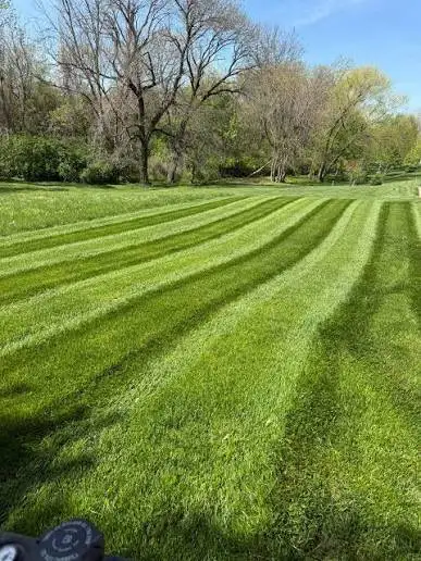 YEAR AROUDN PROPERTY SERVICE - Photo 5