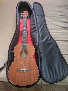 Baritone Ukulele - Acoustic/Electric