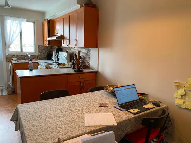 BEAU GRAND 3 1/2 RUE FABRE PRÈS BEAUBIEN, LIBRE 1ER JUIN - Photo 7