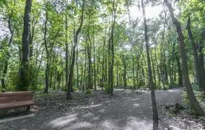 BREATHTAKING  LUXURY TWO BEDROOM APT RENTAL JULY 1ST - Photo 10