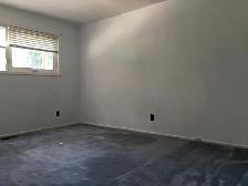 7 Rooms Student rental housing near University of waterloo - Photo 12