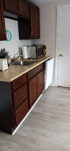 Available May or June 1st Nice Bright one BR Apt at Quinpool Rd - Photo 6