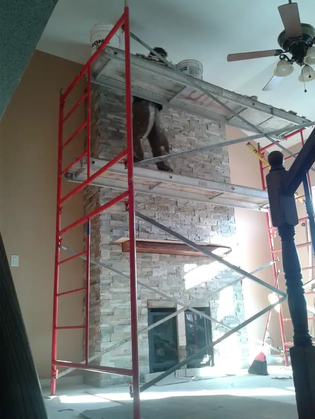 WORK WANTED IN FLOORING FRAMING DRYWALL PAINTING STONE WORK - Photo 4