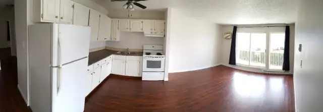 SPACIOUS – RENOVATED – PET FRIENDLY - Photo 2