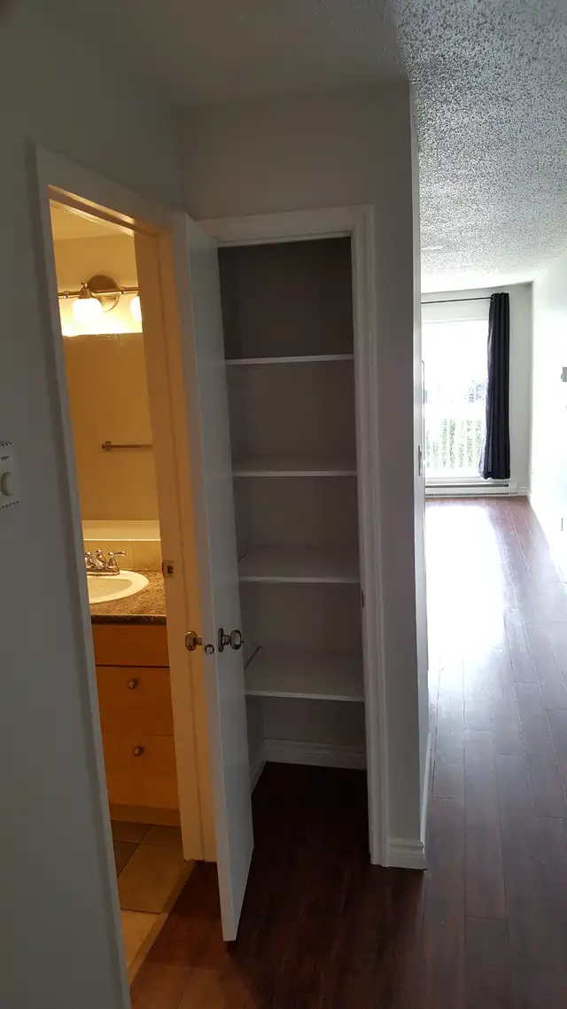 SPACIOUS – RENOVATED – PET FRIENDLY - Photo 6