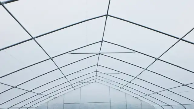30x80 Farm Tunnel Greenhouse - Photo 2