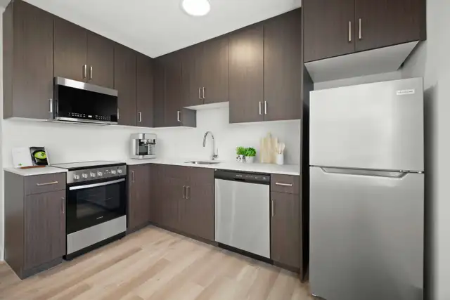 Newly Renovated Studio Apartment! Available For June 1st! - Photo 2