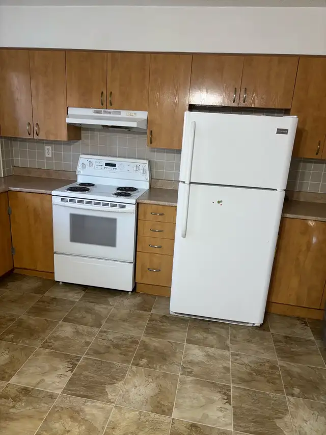 Très grand 4 1/2 à louer - Photo 3