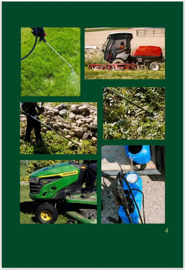 Spring Yard Clean-Up – Fast & Reliable