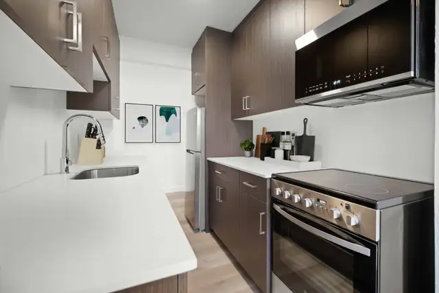 Newly Renovated 1 Bedroom Apartment! Available For June 1st! - Photo 4