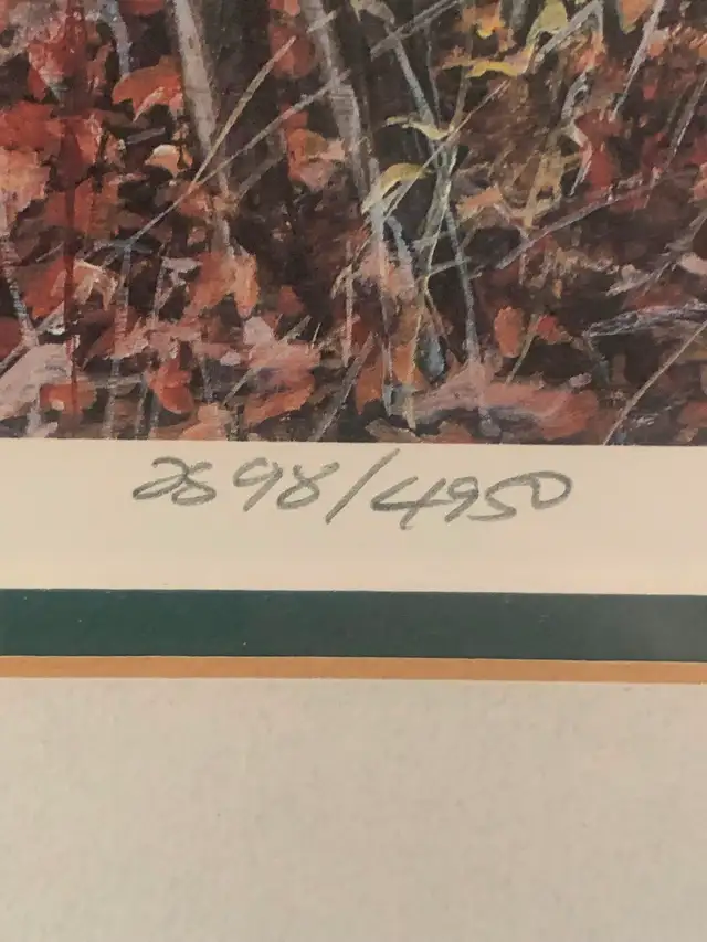 Art by Paul Rankin - Photo 4