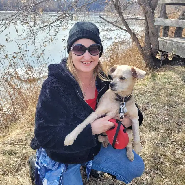 EXPERIENCED DOG BOARDING/DOG DAYCARE/DOG TRAINING - Photo 7