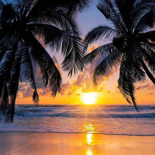 amitié avec une femme libre plus  ...