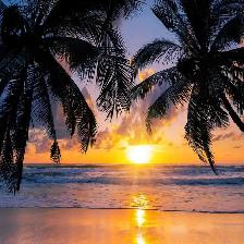 amitié avec une femme libre plus  ...