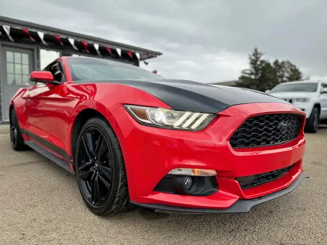 2015 FORD MUSTANG FASTBACK COUPE – 2.3L ECOBOOST – ACCIDENT FREE - Photo 4