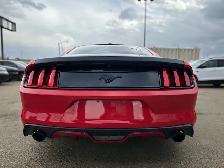 2015 FORD MUSTANG FASTBACK COUPE – 2.3L ECOBOOST – ACCIDENT FREE - Photo 7