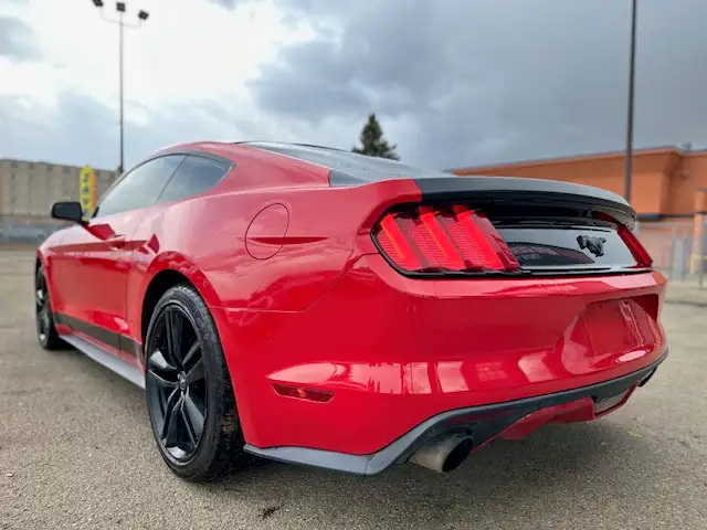 2015 FORD MUSTANG FASTBACK COUPE – 2.3L ECOBOOST – ACCIDENT FREE - Photo 8