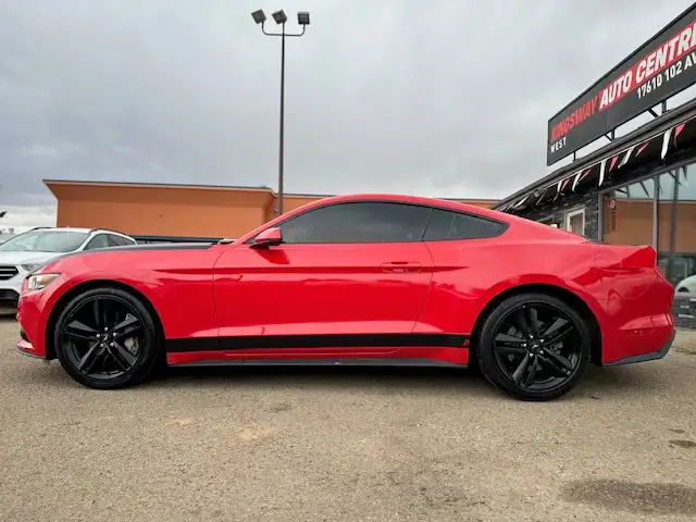 2015 FORD MUSTANG FASTBACK COUPE – 2.3L ECOBOOST – ACCIDENT FREE - Photo 9