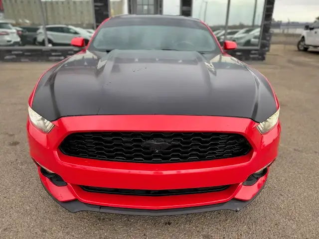 2015 FORD MUSTANG FASTBACK COUPE – 2.3L ECOBOOST – ACCIDENT FREE - Photo 10