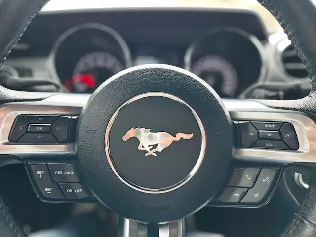 2015 FORD MUSTANG FASTBACK COUPE – 2.3L ECOBOOST – ACCIDENT FREE - Photo 20