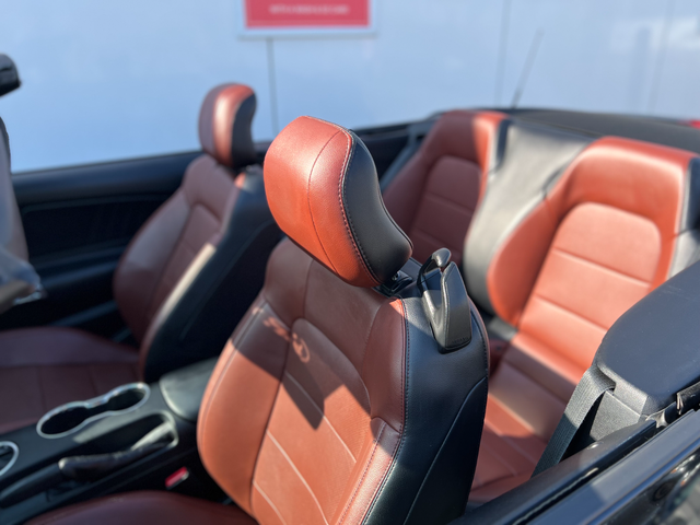 2016 Ford Mustang ECOBOOST PREMIUM-AUTO-FULL DEALERSHIP RECORD - Photo 3