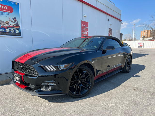 2016 Ford Mustang ECOBOOST PREMIUM-AUTO-FULL DEALERSHIP RECORD - Photo 10