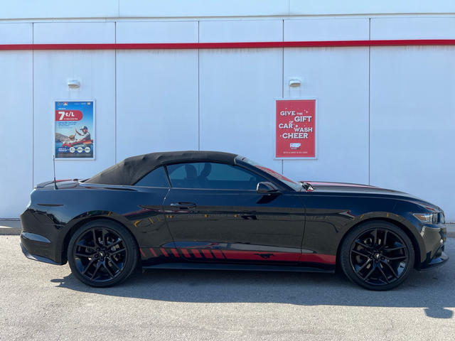 2016 Ford Mustang ECOBOOST PREMIUM-AUTO-FULL DEALERSHIP RECORD - Photo 12