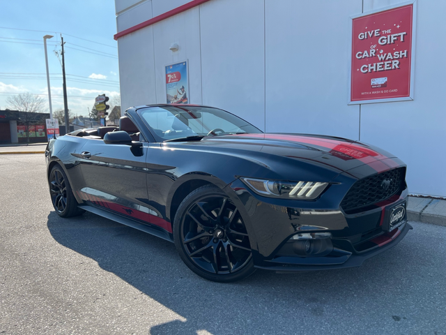 2016 Ford Mustang ECOBOOST PREMIUM-AUTO-FULL DEALERSHIP RECORD - Photo 13