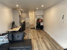 3 1/2 semi-meublé, Ville Sainte-Marie (île de Montreal)