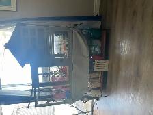2 Female Guinea Pigs plus FULL Setup - Photo 3