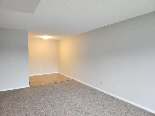 Sunvalley Court #37 - Photo 4