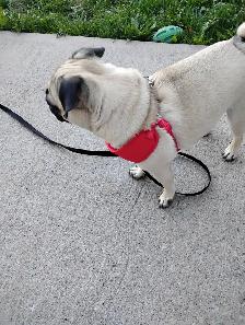 Can anybody help with 20-30 dollers to get to work until Friday