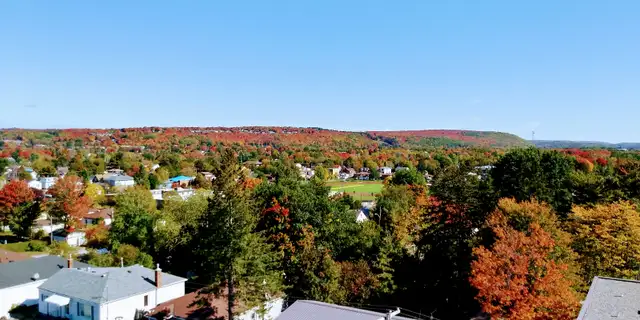 Spacious Upper Floor Apt w Balcony – Secure Building w Elevator - Photo 10