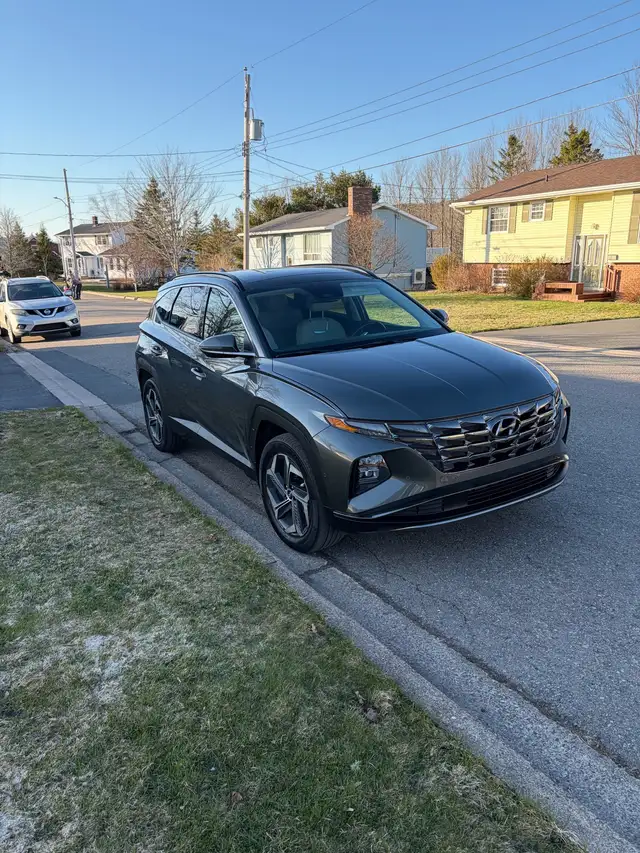 Plug in hybrid - Photo 2