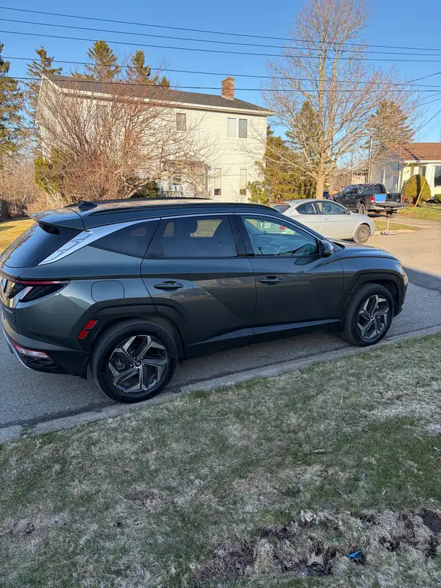 Plug in hybrid - Photo 4