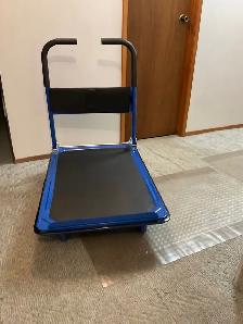 Platform Trolley 4 Wheeler