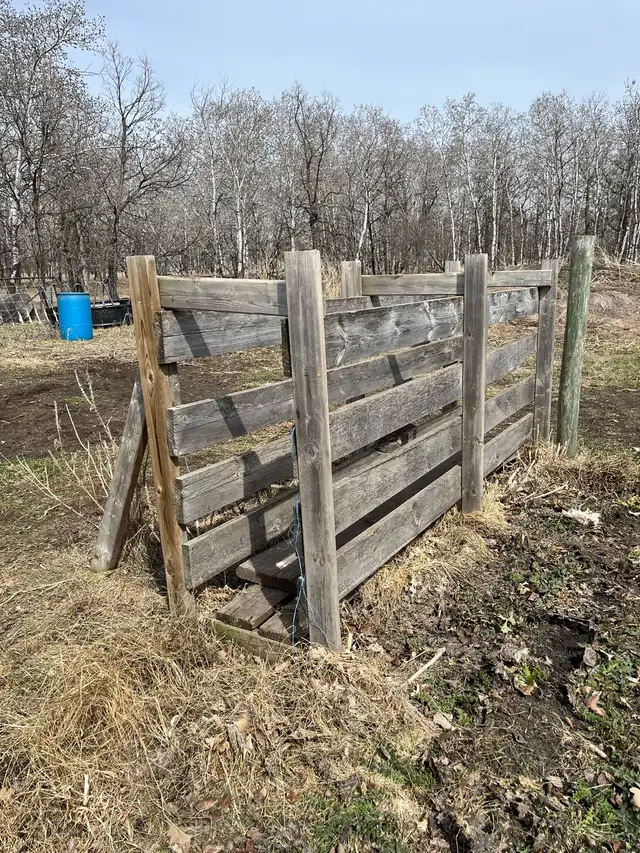 Deluxe Spin Trum Chute - Photo 4