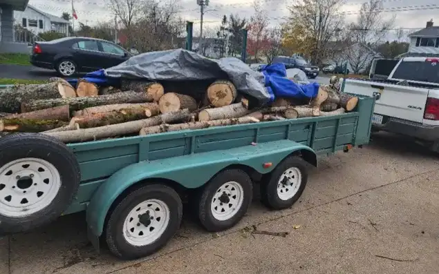 Junk removal - Photo 3