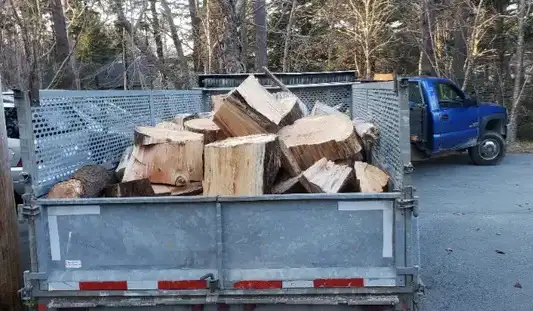 Junk removal - Photo 4