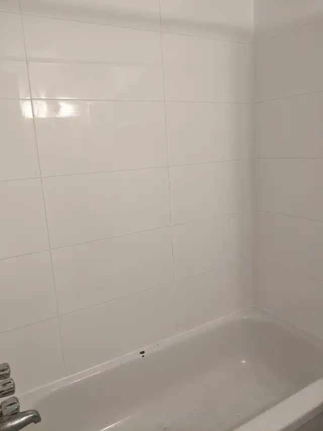 2 Bed room apt for rent, heated and hot water provided - Photo 3