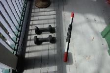 Dumb Bells and Exercise Bar