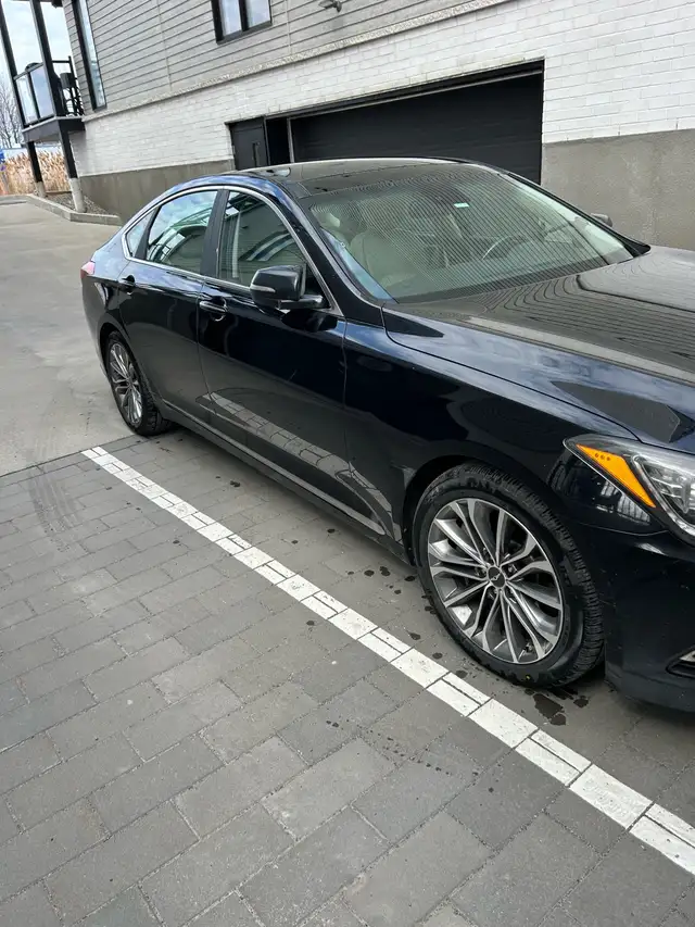 Genesis 2015 - Photo 2