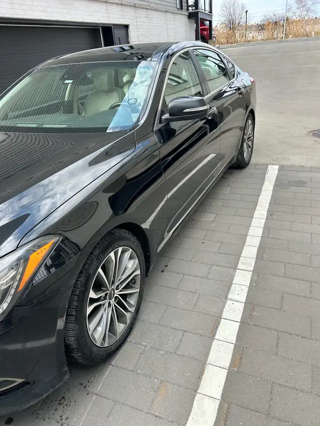 Genesis 2015 - Photo 3