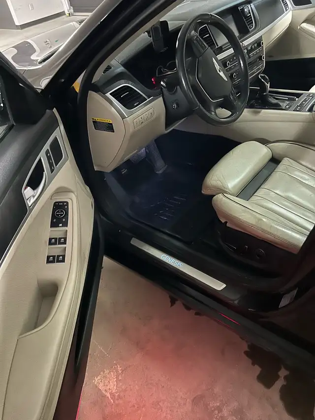 Genesis 2015 - Photo 4