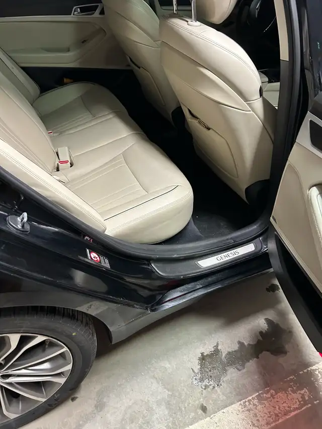 Genesis 2015 - Photo 5