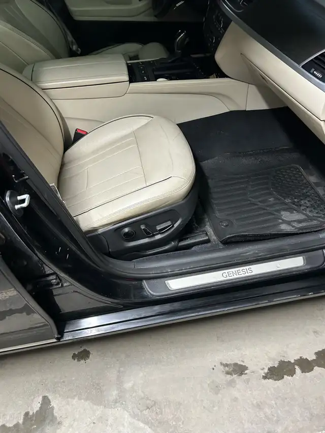 Genesis 2015 - Photo 6