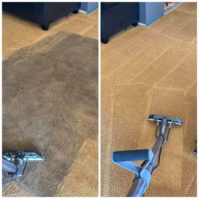 Best Home Carpet,Rug and Couch_Cleaner - Photo 4