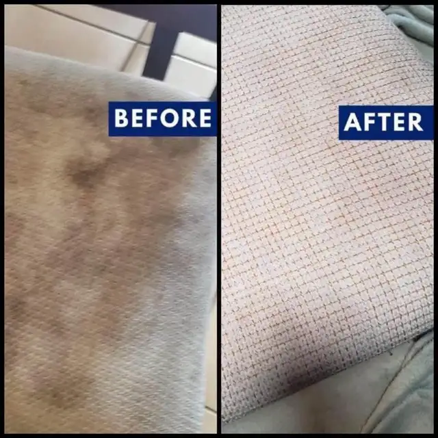 Best Home Carpet,Rug and Couch_Cleaner - Photo 5